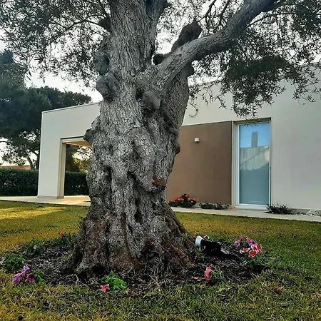 Il Giardino Dei Coralli *